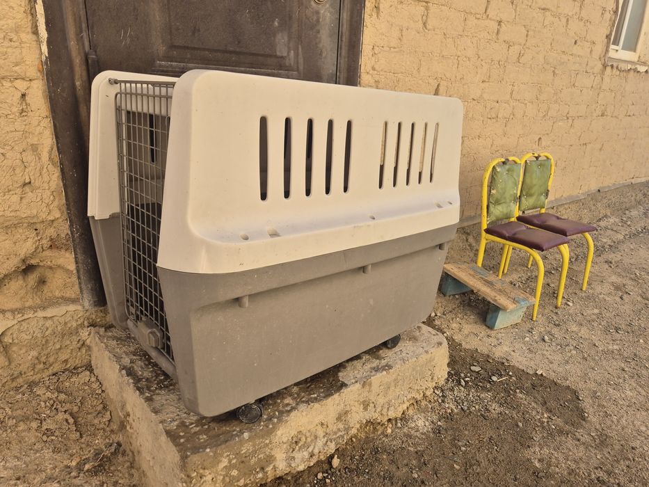 Переноска для крупных собак.