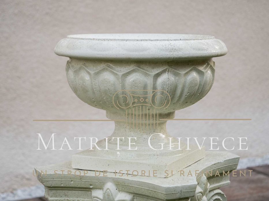 Matrita flori gradina