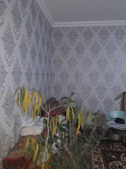 Срочно келес кук теракда улугбек кучасида янги курилган уй сотилади