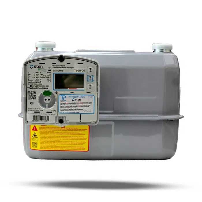 Счетчик газа Osten TEGH G6