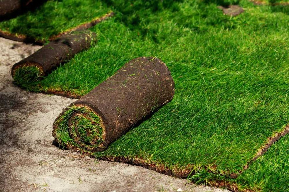 Îngrijire gazon completă – Fertilizare, tundere și irigare