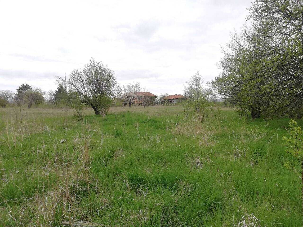 Продава се Парцел в с. Кошарево, Област Перник - 6600 кв.м за 13 €/кв.м - Снимка #2
