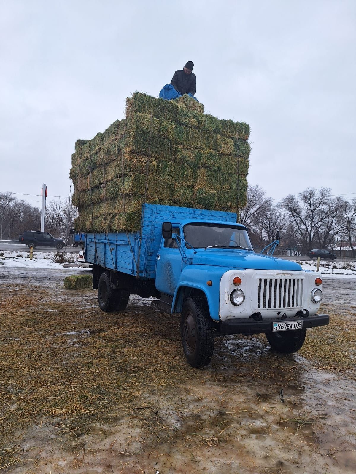 Люцерна по штучный и оптом можно