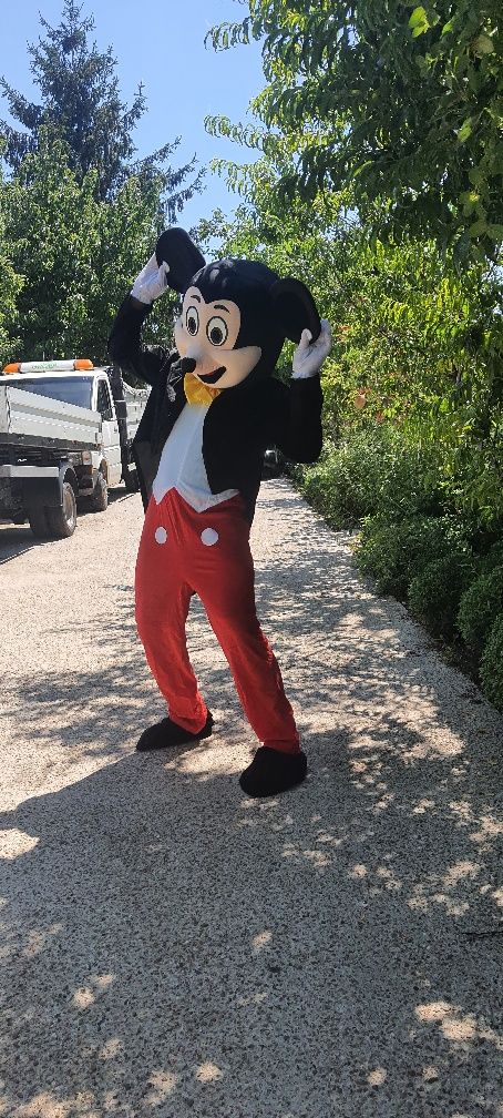 Costume Mickey și Minnie