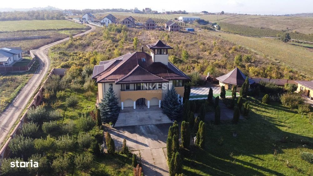 Proprietate Unica de Vanzare in Visani, Iasi – Resedinta si Investit