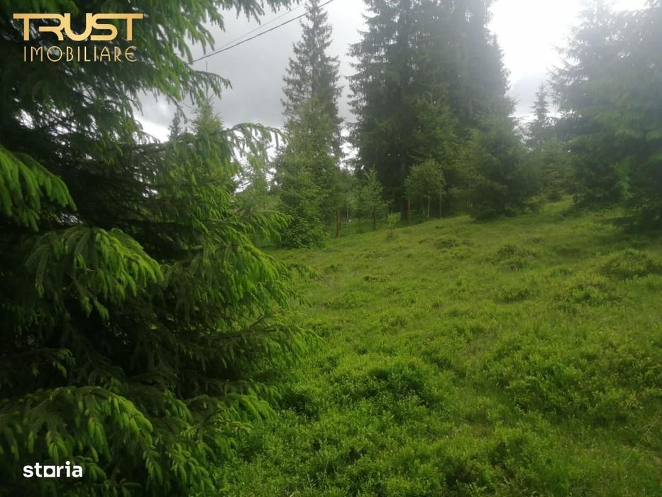 Teren de vanzare, Belis,1300mp, Strada principala, Intravilan