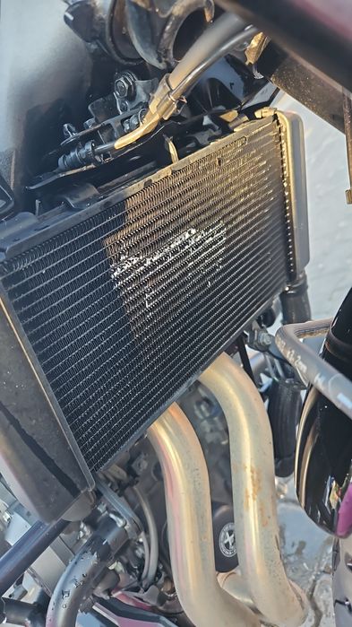 Honda CB500FA Hornet