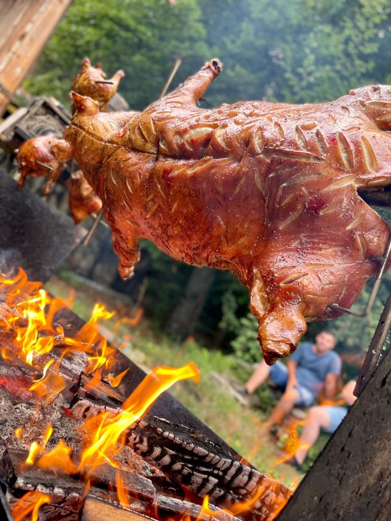 Animale la protap