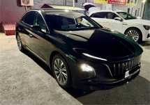 Hongqi EQM-5   450 Km Kraska Tozza 100%