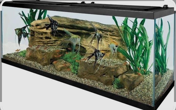 Акварим ясаш ремонт хизмати.