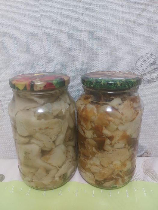 Грибы соленые валуи