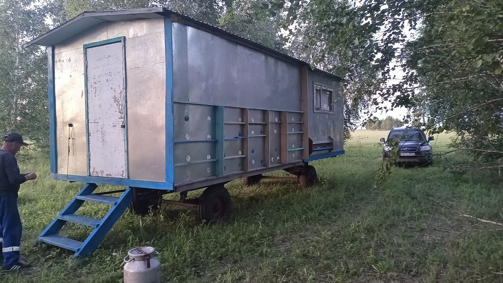 Мёд! Лесное разнотравье!