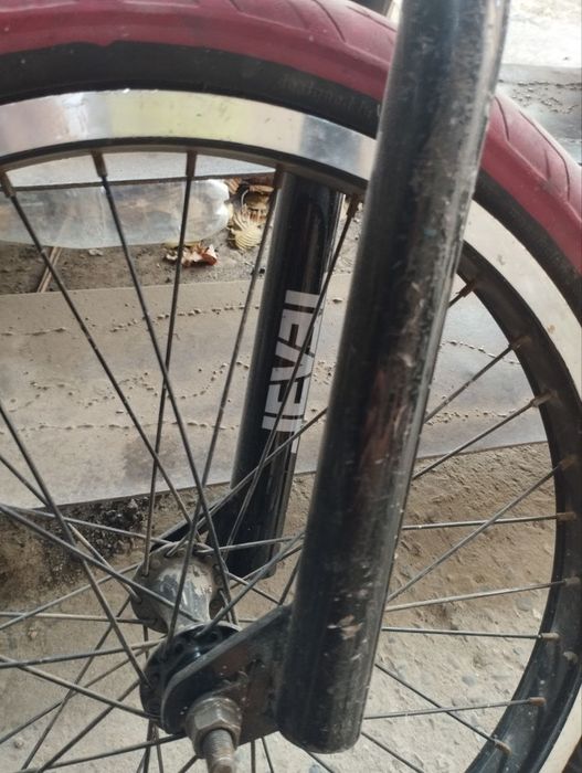 bmx tech team level