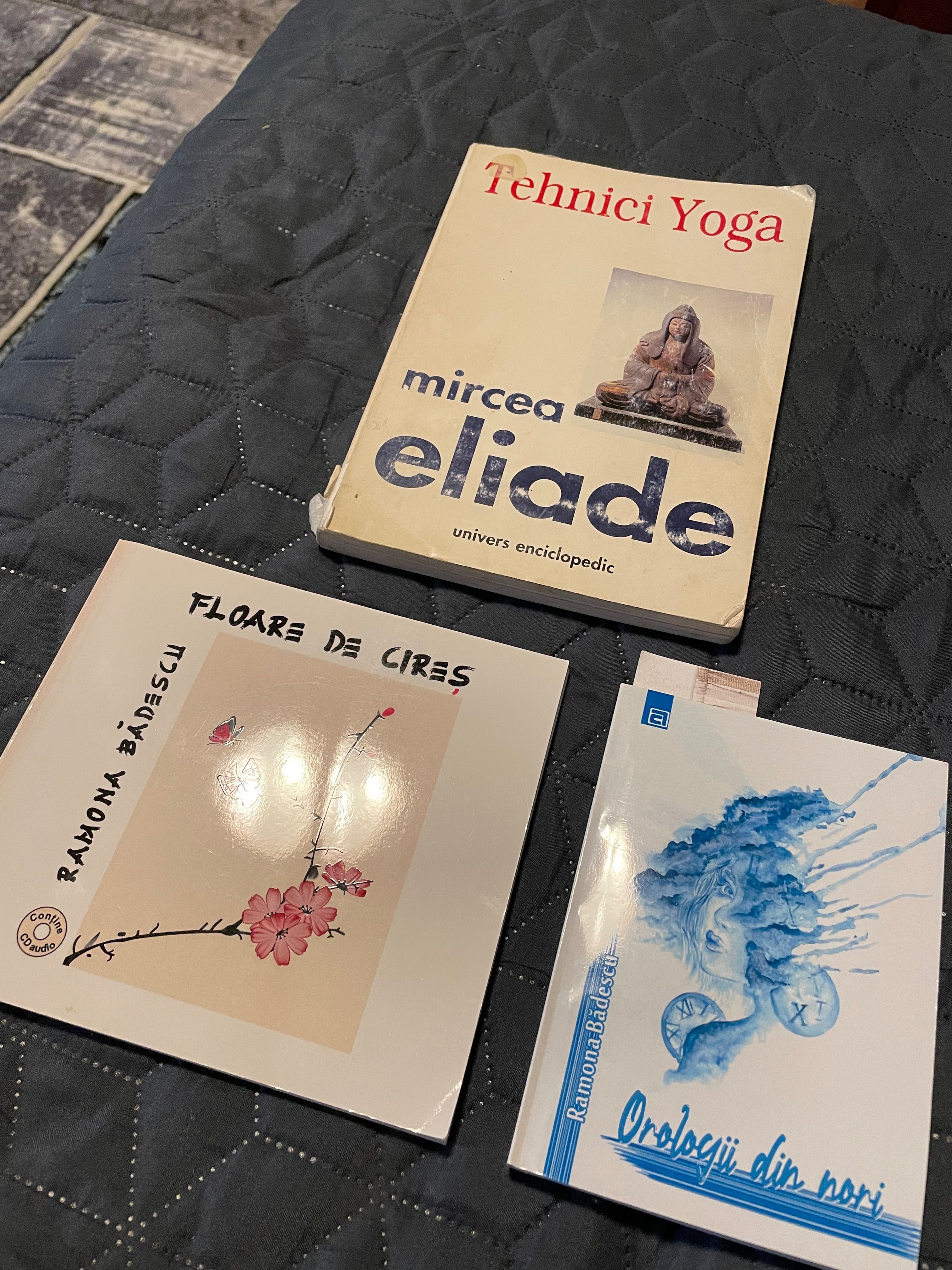 Tehnici Yoga de Mircea Eliade + 2 cărți de poezii japoneze haiku