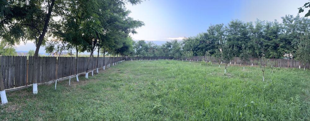 Teren Intravilan - 1000 mp - Proprietar