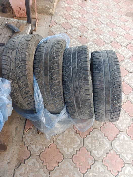 Зимние шина шипы