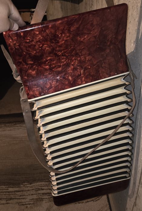 Vând acordeon Timis