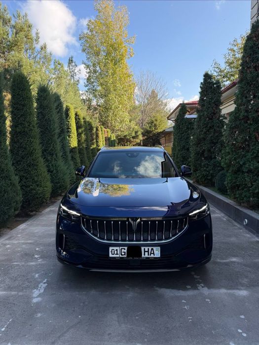 24.300.S. Voyah Free.