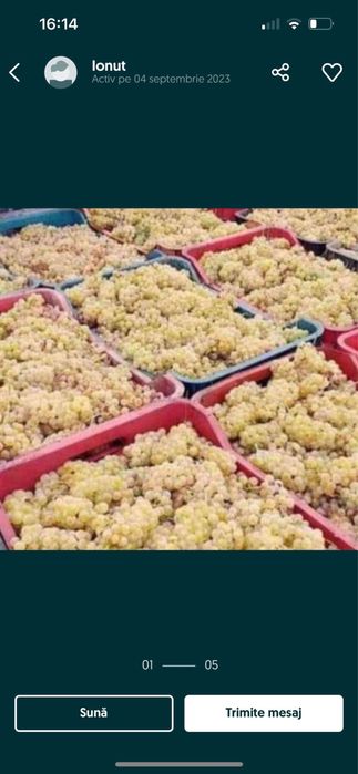 Vand steuguri de vin