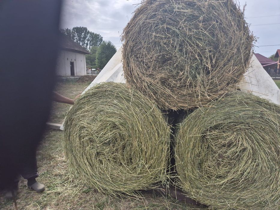 Vând baloti rotunzi.