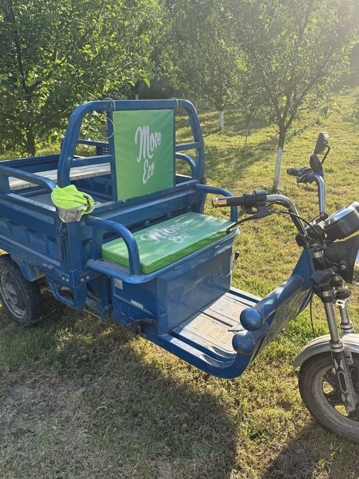 Triciclu electric Cargo Move Eco