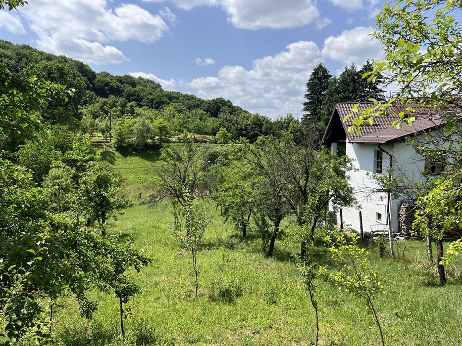 teren de vanzare stefanesti valea mare