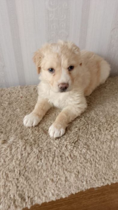 Солнечный малыш с добром доброму человеку