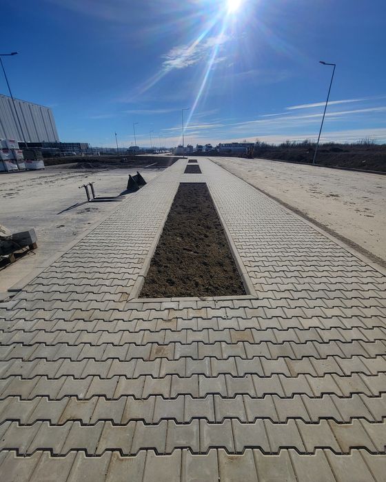 Pavele și Borduri Montatori