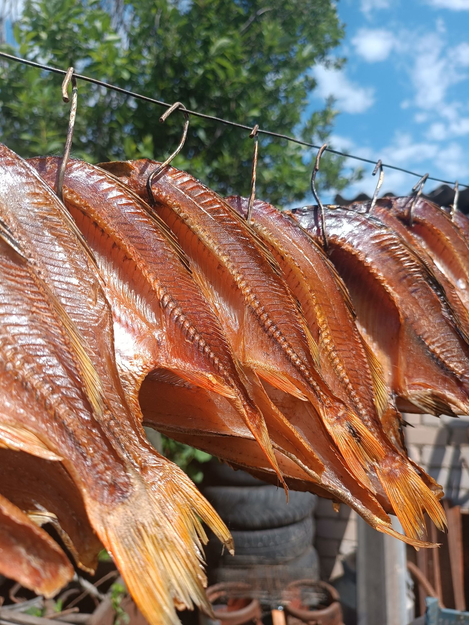 Продам копченный карась, окунь, щука, линь, чебак.