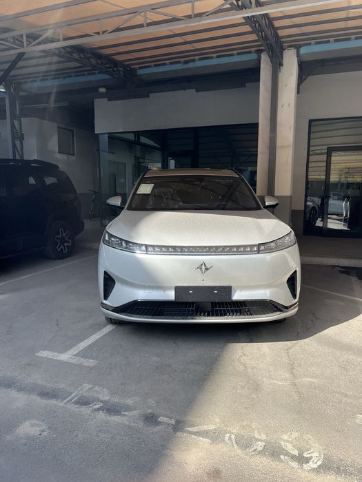 Dongfeng 008 elektr ev