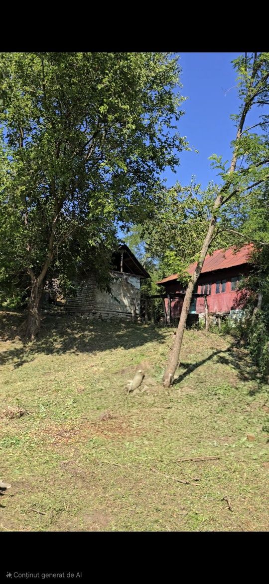 Teren de vânzare Curtea de Argeș - Zona Noapteș