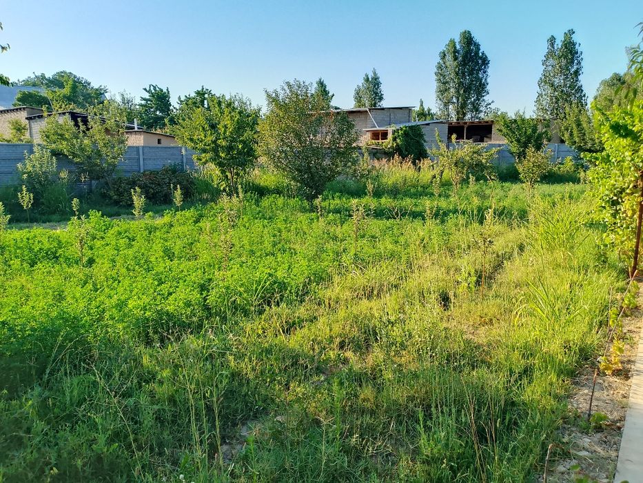 Uchaska sotiladi yangi yolda Nurobod Mfy 10 sotik