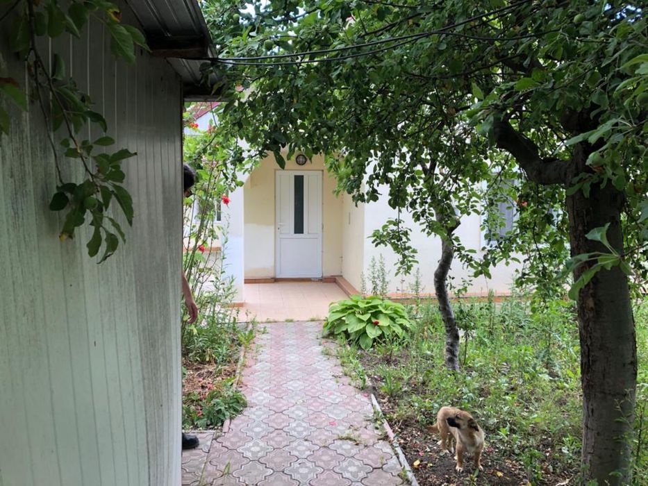 Inchiriere casa ,Proprietar , Centru Dancu