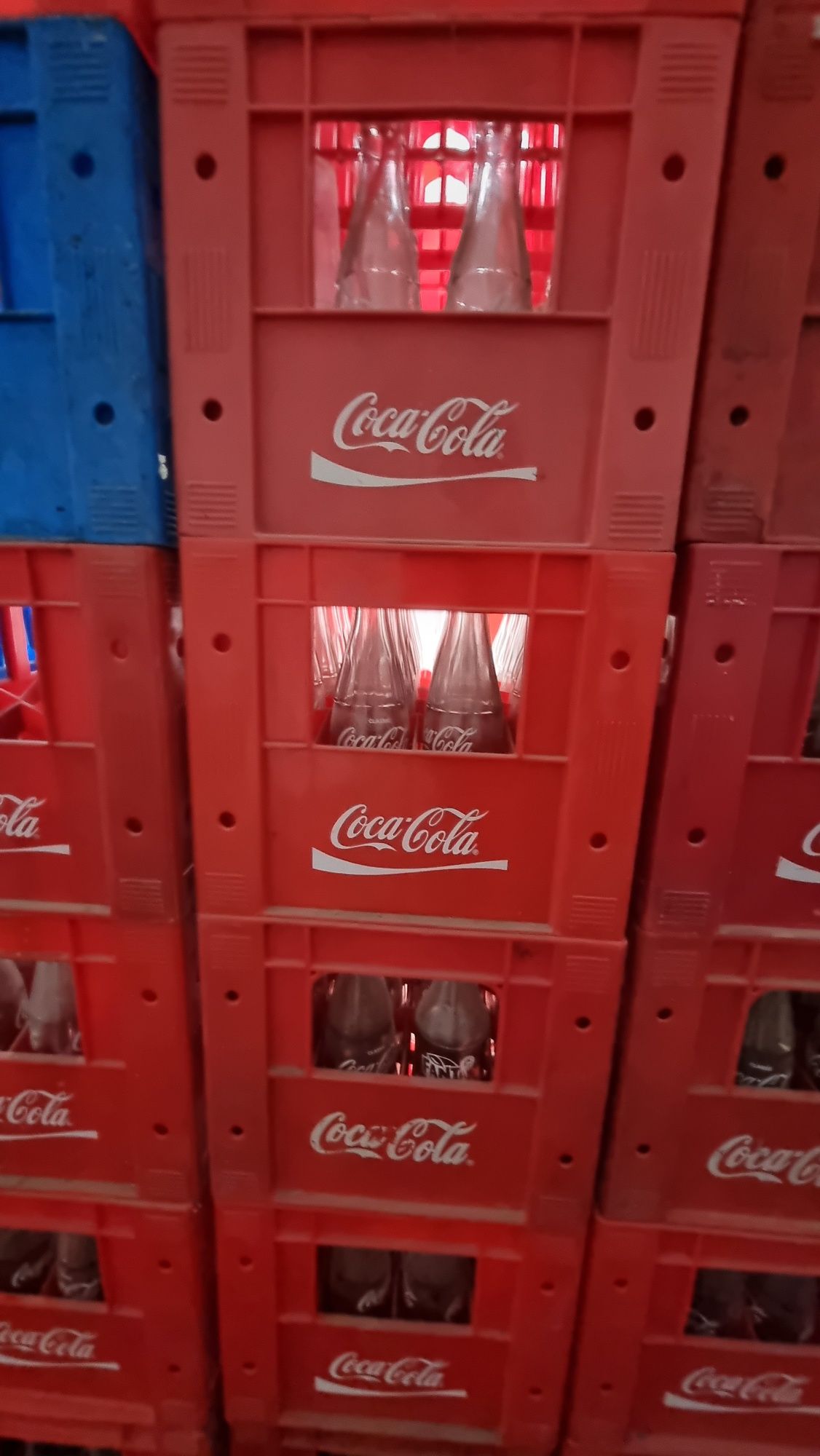Cola va pepsi taralari