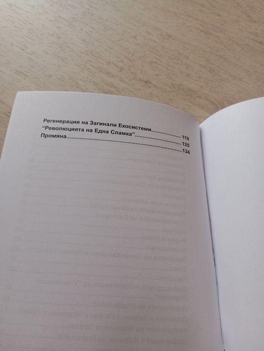 Системна Грешка - Д. Димитрова