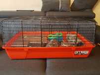 Cusca hamster + accesorii