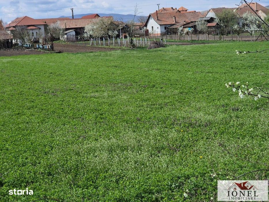 Teren intravilan  Santimbru-Totoi