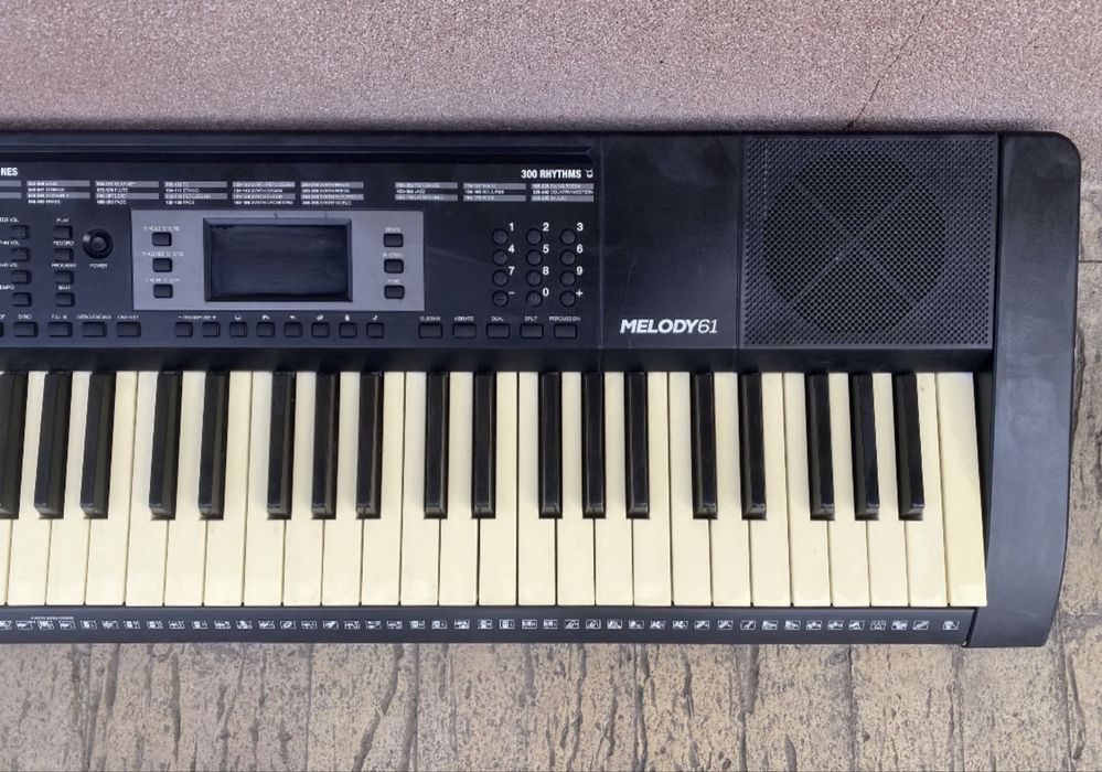 pian digital / orga electronica Alesis