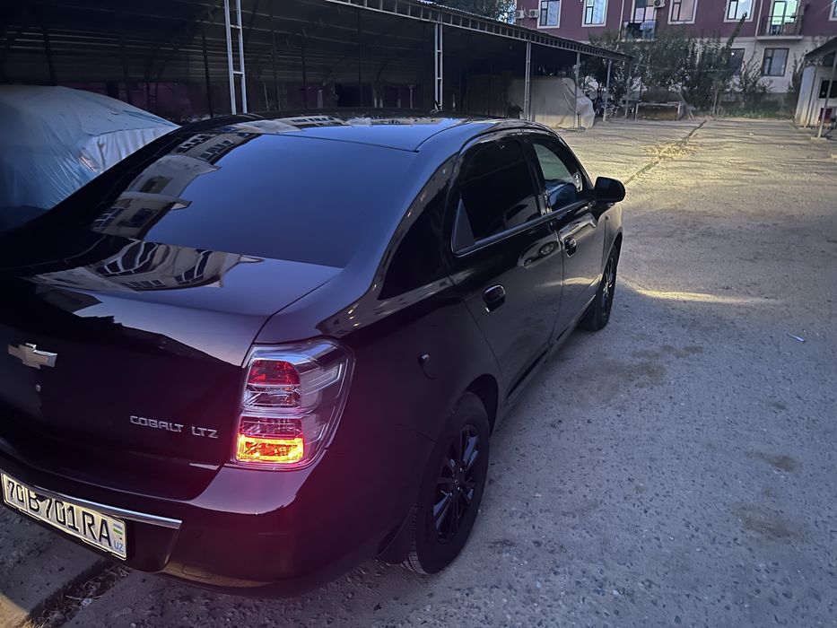 Cobalt midnight qora 2025