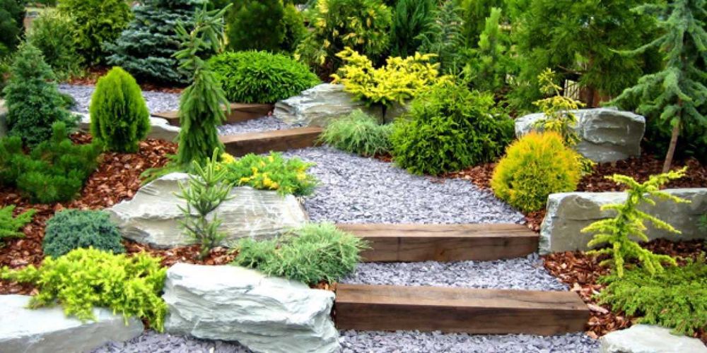 Amenajare & Întreținere Curți