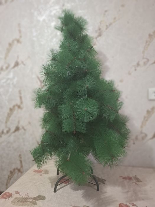 Арча холати янги