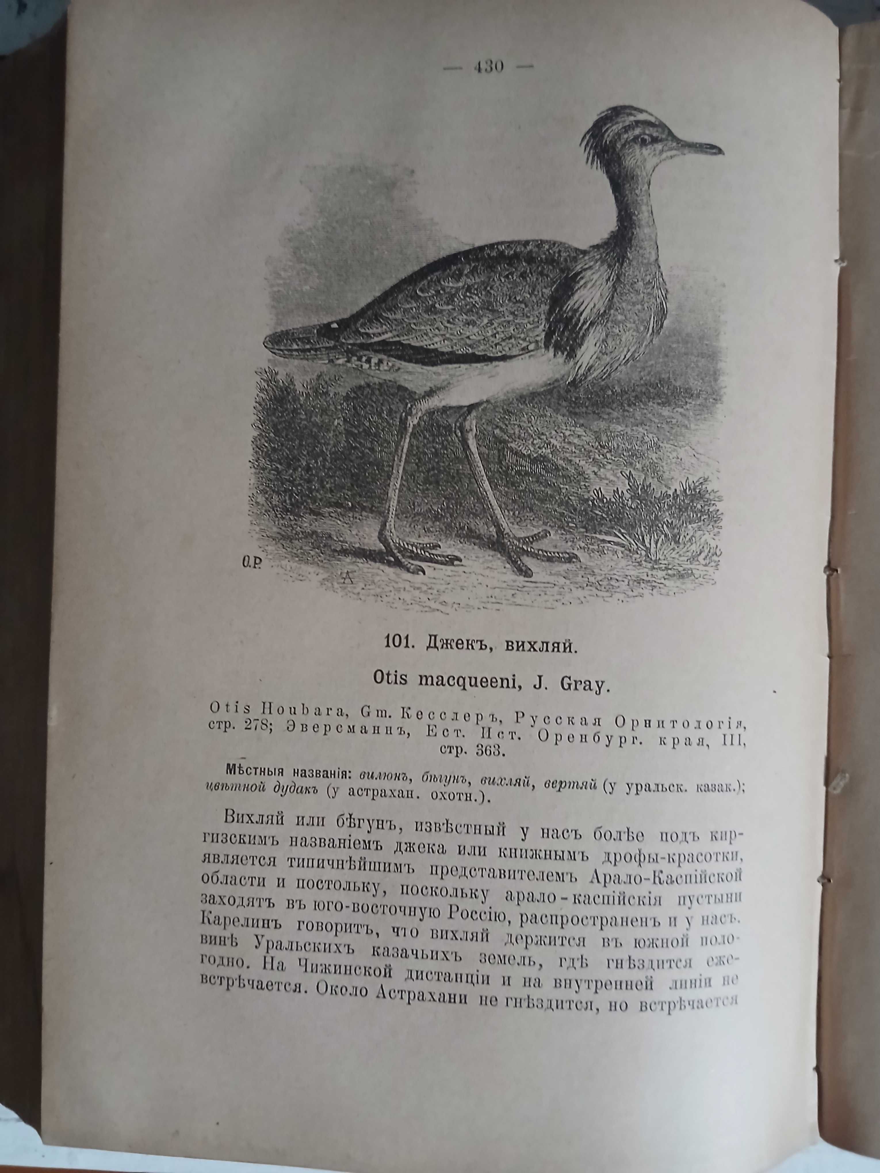 Птицы России 1895 год.