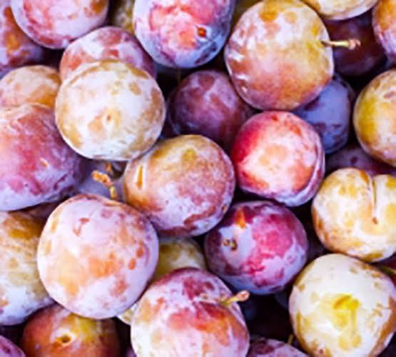 Pomi fructiferi normali Pruni