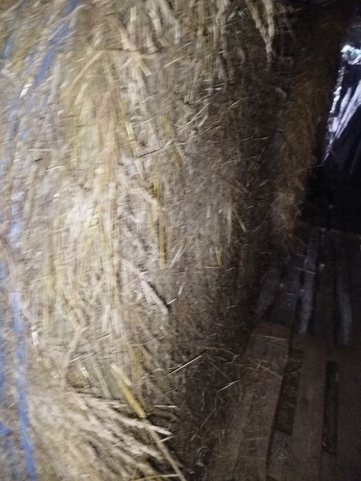 Сено бални кръгли