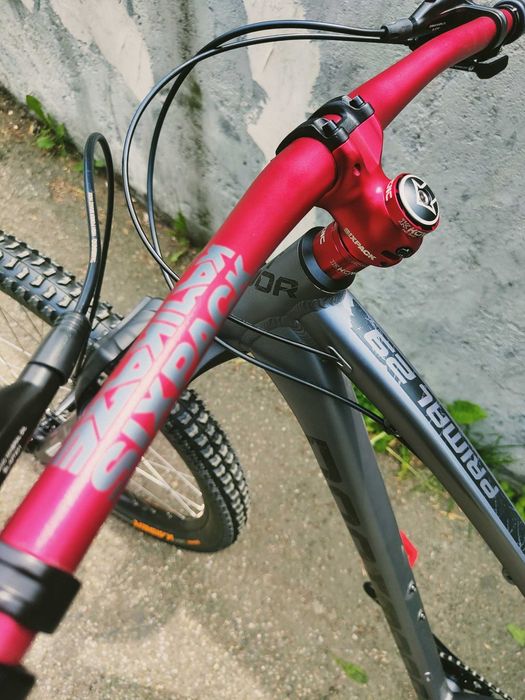 Dartmoor Primal 2022 * custom *