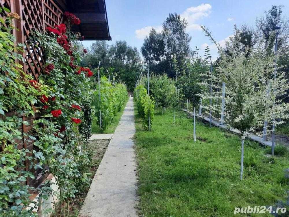 Vila, pensiune mobilata utilata. Pozitie deosebita
