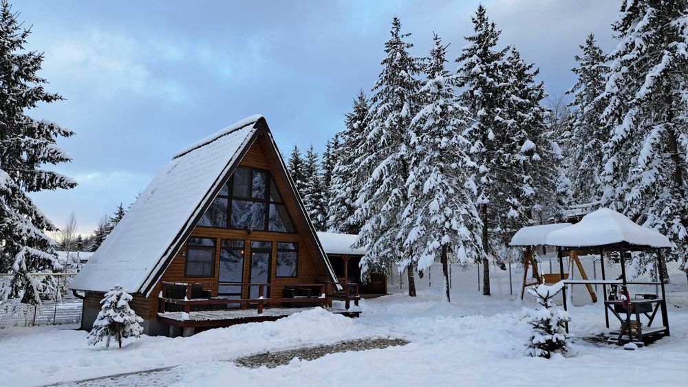 Cabana Armonia Naturii – poveste scrisă în lemn și liniște pentru tine