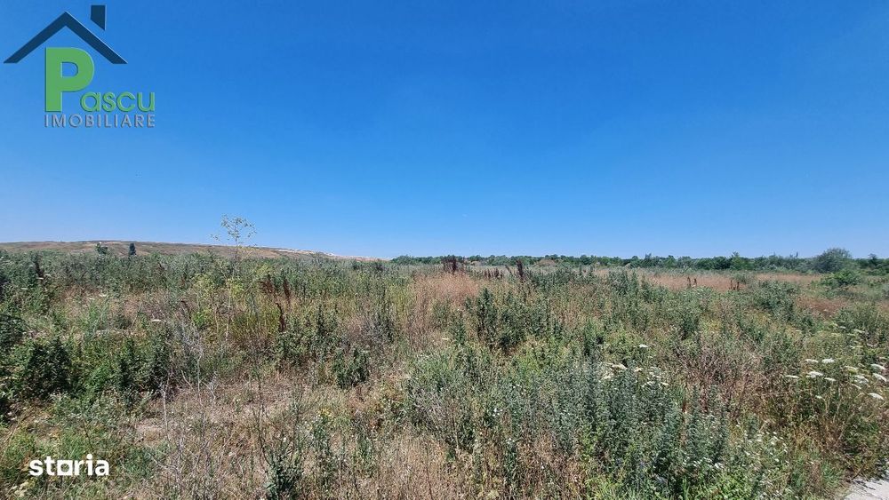 Teren Drum la Chiajna, sector 6, 11.350 mp, D 33 ml