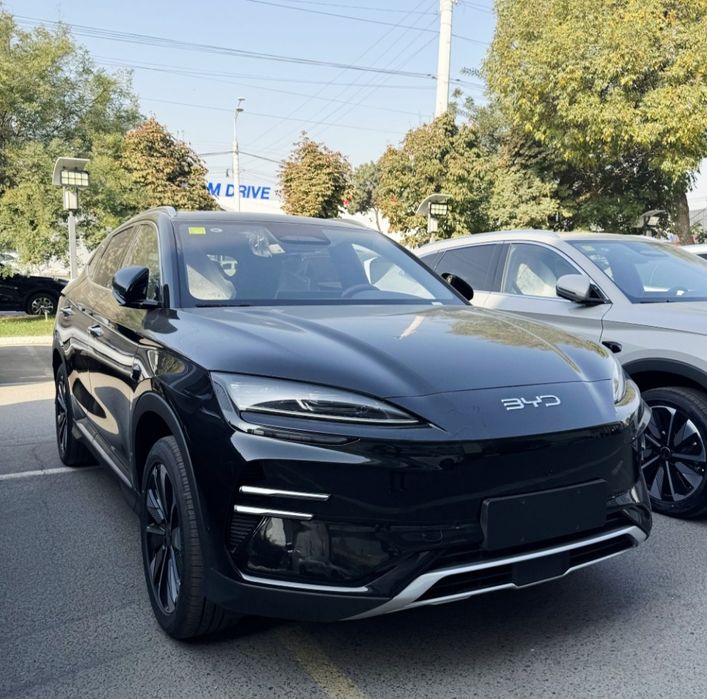 **BYD champion smart 26 model