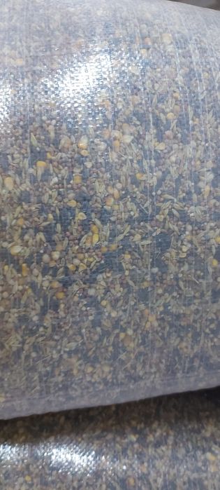 Hrană păsări și porumbei * amestec semințe/cereale ; Mancare Porumbei